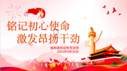 空闲农场